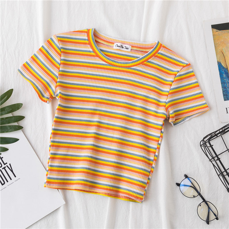 Rainbow Striped Tight Crop Top