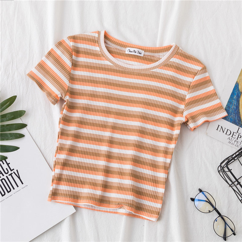 Rainbow Striped Tight Crop Top