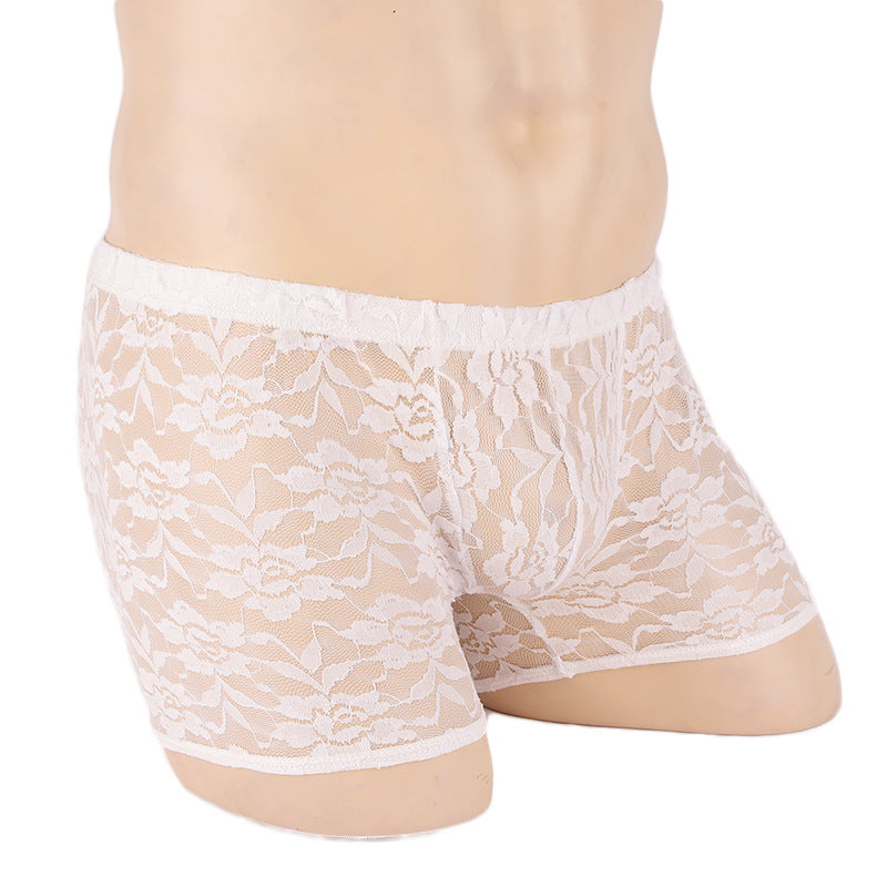 Sheer Lace Boxer Briefs